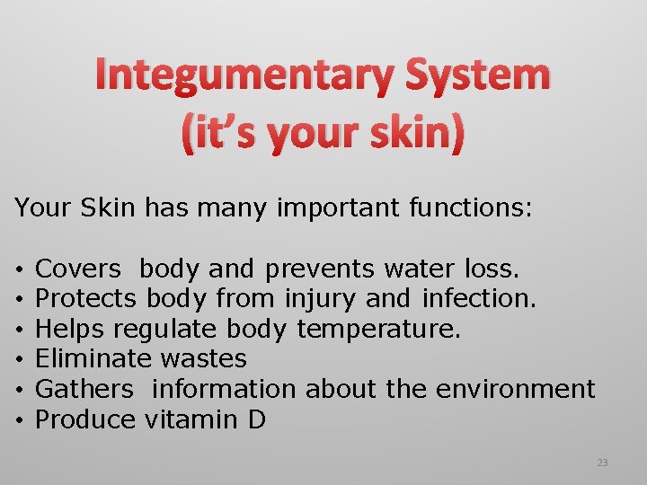 Integumentary System (it’s your skin) Your Skin has many important functions: • • •