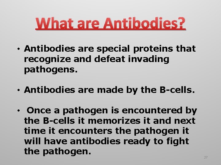 What are Antibodies? • Antibodies are special proteins that recognize and defeat invading pathogens.