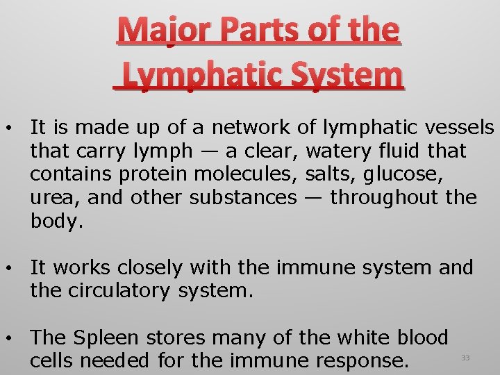 Major Parts of the Lymphatic System • It is made up of a network