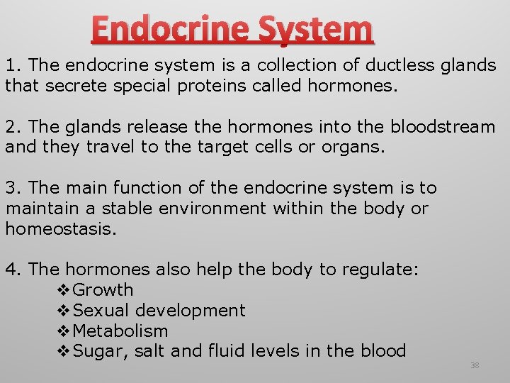 Endocrine System 1. The endocrine system is a collection of ductless glands that secrete