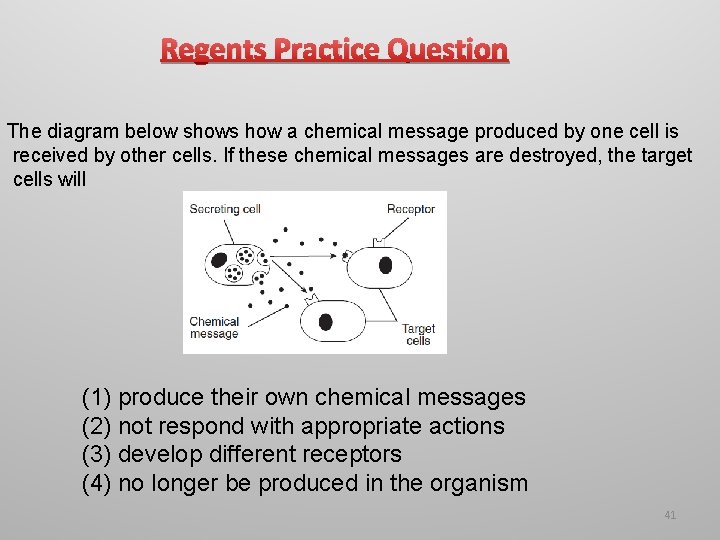 Regents Practice Question The diagram below shows how a chemical message produced by one