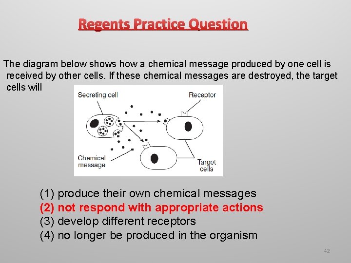 Regents Practice Question The diagram below shows how a chemical message produced by one