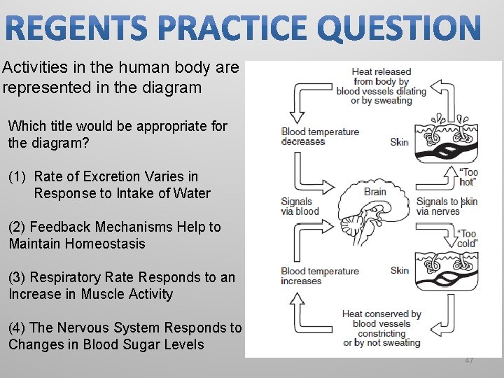 Activities in the human body are represented in the diagram Which title would be