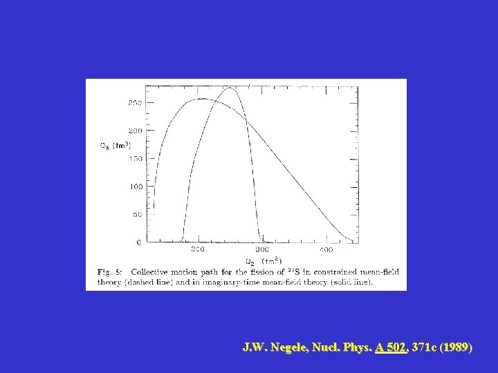 J. W. Negele, Nucl. Phys. A 502, 371 c (1989) 