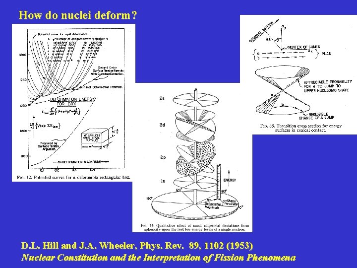 How do nuclei deform? D. L. Hill and J. A. Wheeler, Phys. Rev. 89,