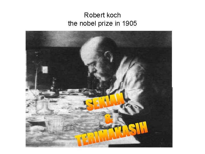 Robert koch the nobel prize in 1905 