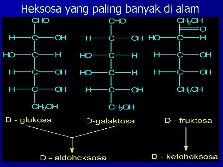 Heksosa yang paling banyak di alam 