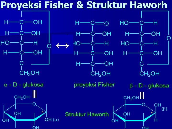 Proyeksi Fisher & Struktur Haworh ↔ 