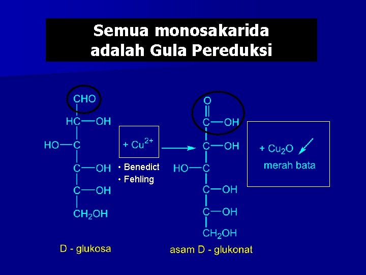 Semua monosakarida adalah Gula Pereduksi • Benedict • Fehling 