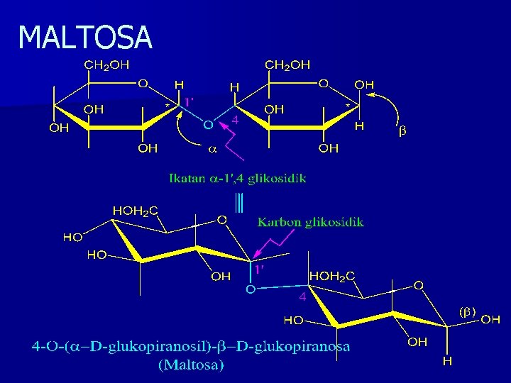MALTOSA 