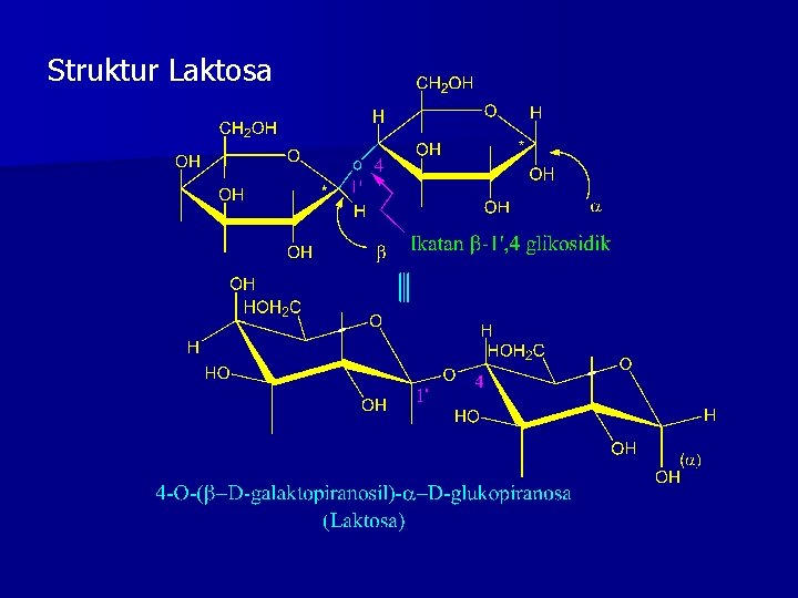 Struktur Laktosa 