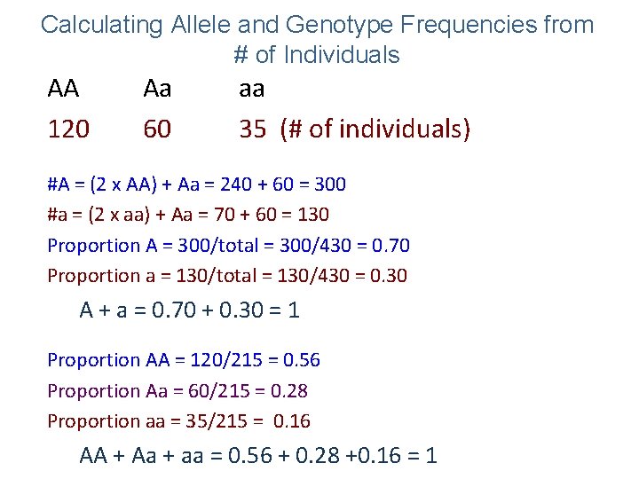 Calculating Allele and Genotype Frequencies from # of Individuals AA 120 Aa 60 aa