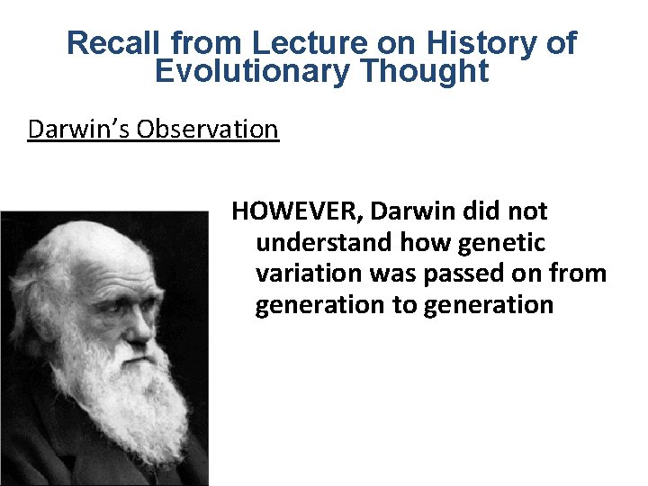 Recall from Lecture on History of Evolutionary Thought Darwin’s Observation HOWEVER, Darwin did not