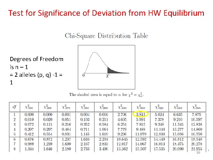 Test for Significance of Deviation from HW Equilibrium Degrees of Freedom is n –