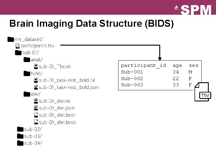 Brain Imaging Data Structure (BIDS) participant_id Sub-001 Sub-002 Sub-003 age 34 22 33 sex