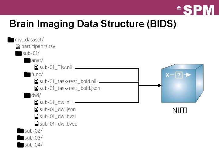 Brain Imaging Data Structure (BIDS) NIf. TI 