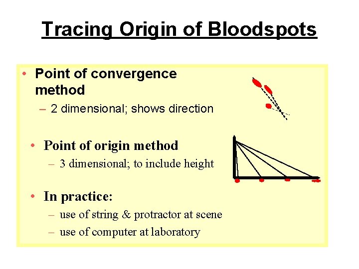 Tracing Origin of Bloodspots • Point of convergence method – 2 dimensional; shows direction
