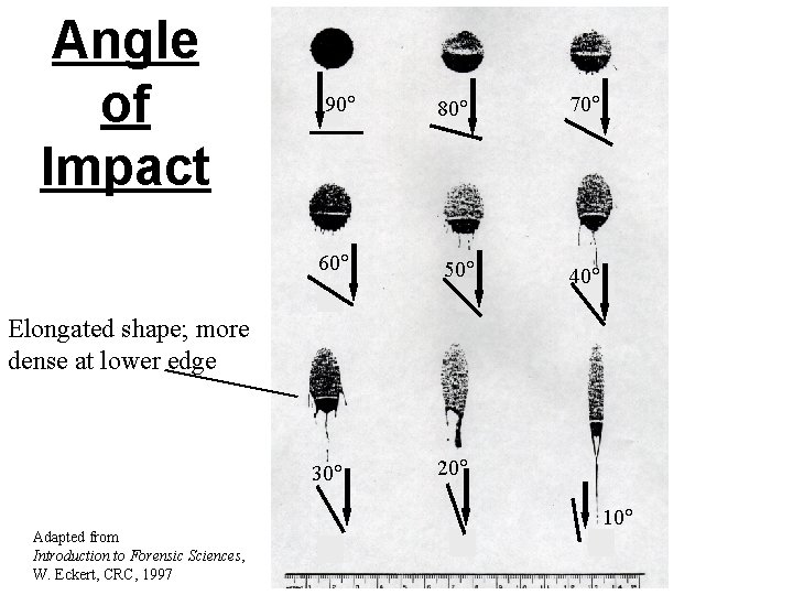 Angle of Impact 90 60 80 50 70 40 Elongated shape; more dense at
