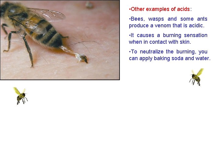  • Other examples of acids: • Bees, wasps and some ants produce a