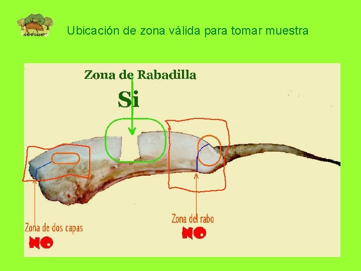 Ubicación de zona válida para tomar muestra 