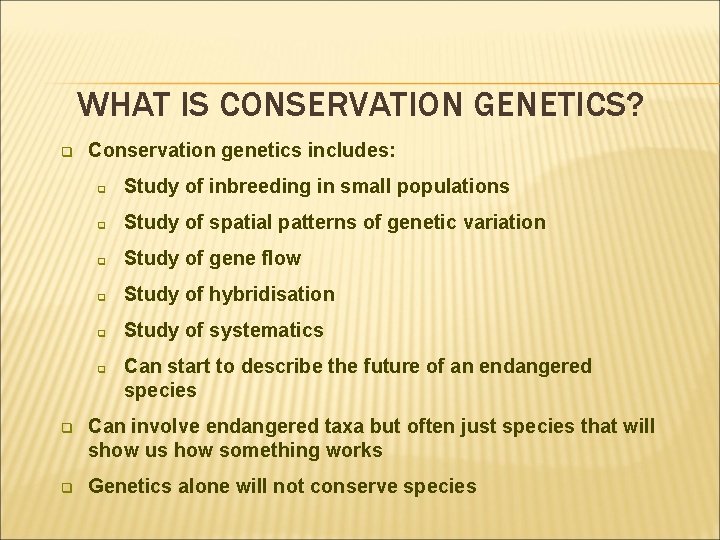 WHAT IS CONSERVATION GENETICS? q Conservation genetics includes: q Study of inbreeding in small