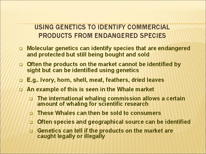 USING GENETICS TO IDENTIFY COMMERCIAL PRODUCTS FROM ENDANGERED SPECIES q Molecular genetics can identify