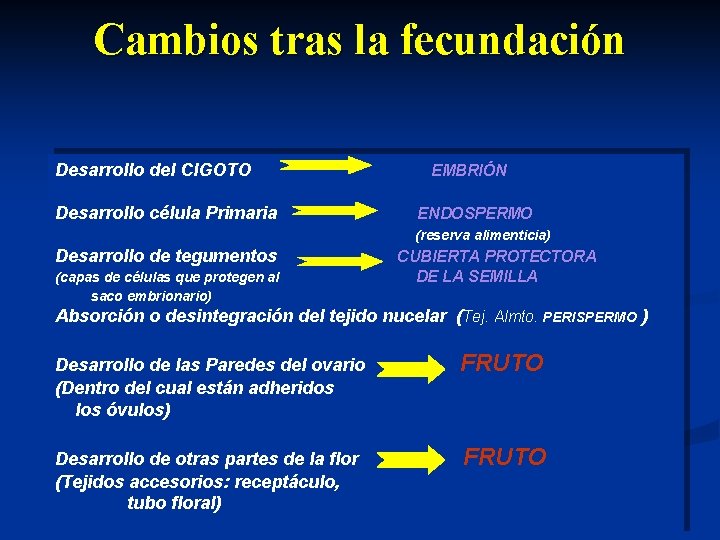 Cambios tras la fecundación Desarrollo del CIGOTO Desarrollo célula Primaria EMBRIÓN ENDOSPERMO (reserva alimenticia)