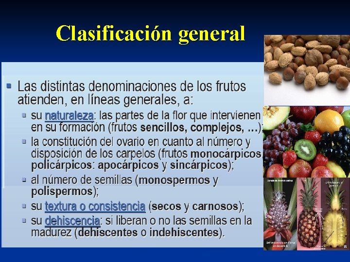 Clasificación general 