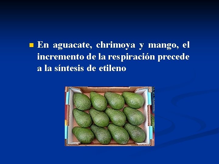 n En aguacate, chrimoya y mango, el incremento de la respiración precede a la