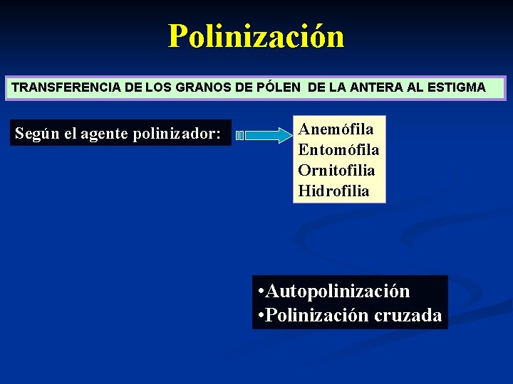 Polinización TRANSFERENCIA DE LOS GRANOS DE PÓLEN DE LA ANTERA AL ESTIGMA Según el