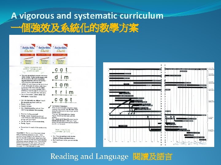 A vigorous and systematic curriculum 一個強效及系統化的教學方案 Reading and Language 閱讀及語言 