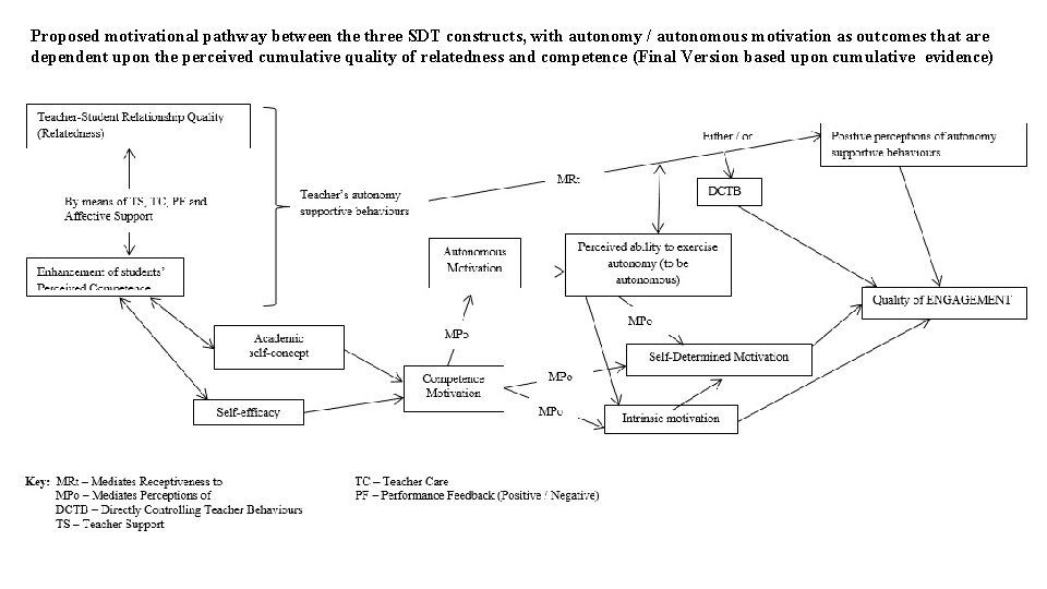 Proposed motivational pathway between the three SDT constructs, with autonomy / autonomous motivation as