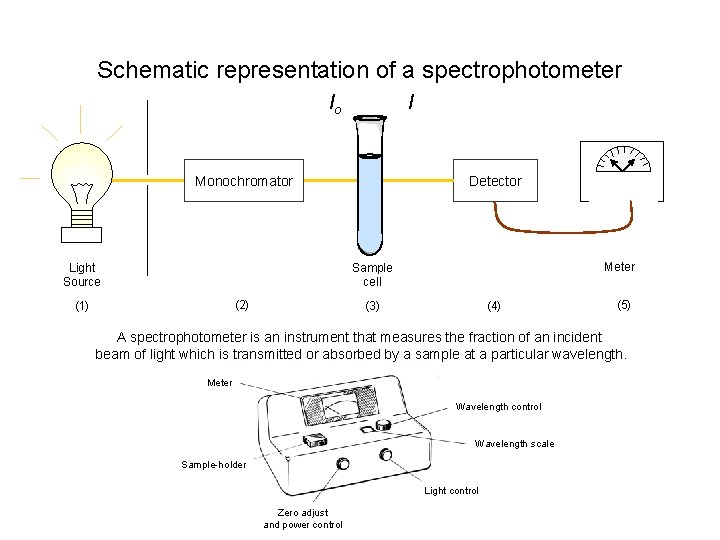 Schematic representation of a spectrophotometer I Io Monochromator Light Source Detector Meter Sample cell