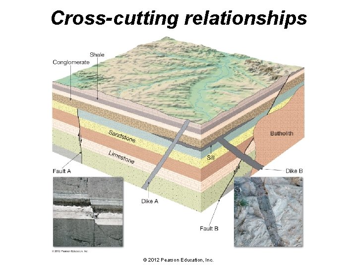 Cross-cutting relationships © 2012 Pearson Education, Inc. 