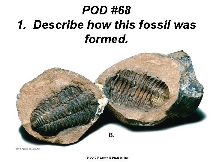 POD #68 1. Describe how this fossil was formed. © 2012 Pearson Education, Inc.