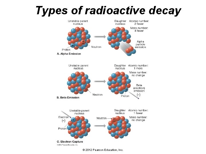 Types of radioactive decay © 2012 Pearson Education, Inc. 