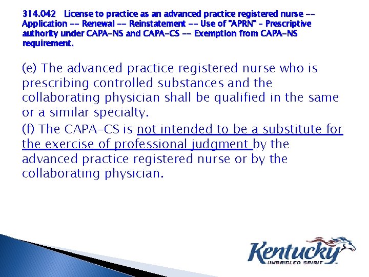 314. 042 License to practice as an advanced practice registered nurse -Application -- Renewal