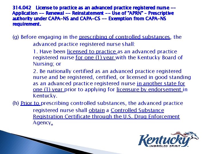 314. 042 License to practice as an advanced practice registered nurse -Application -- Renewal