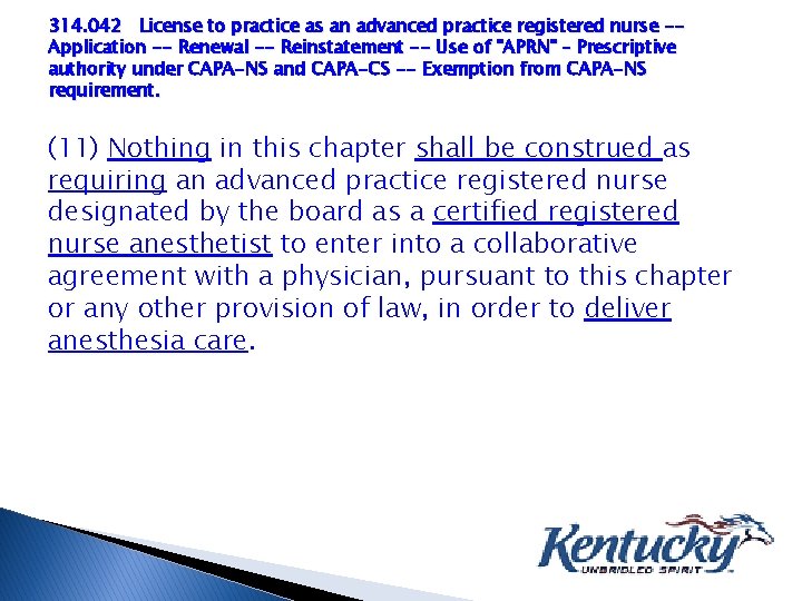 314. 042 License to practice as an advanced practice registered nurse -Application -- Renewal