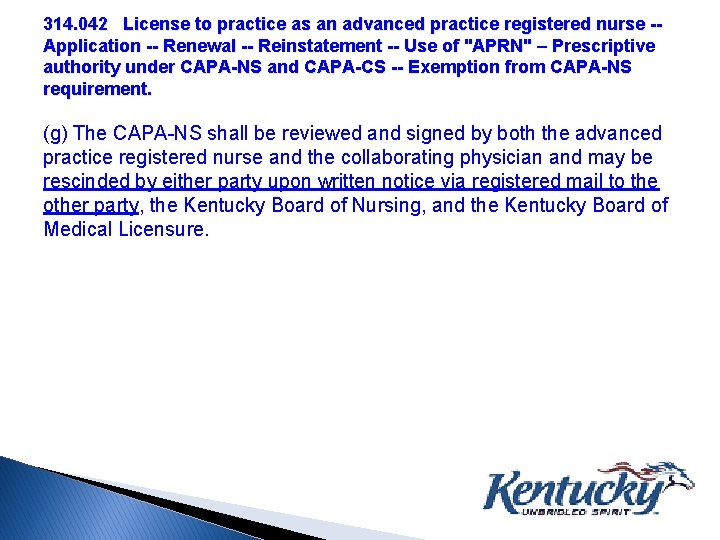 314. 042 License to practice as an advanced practice registered nurse -Application -- Renewal