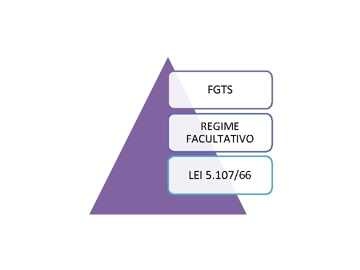FGTS REGIME FACULTATIVO LEI 5. 107/66 