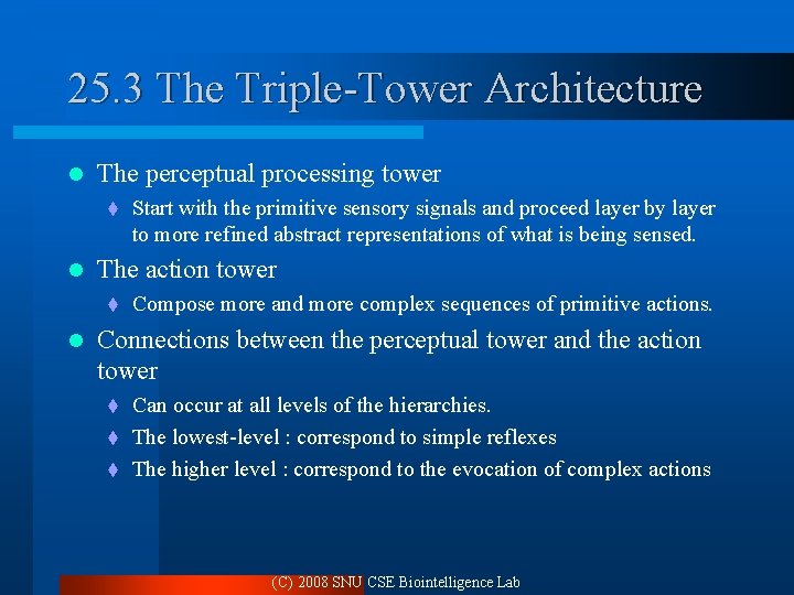 25. 3 The Triple-Tower Architecture l The perceptual processing tower t l The action