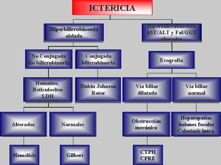 ICTERICIA Hiperbilirrubinemia aislada No Conjugada No bilirrubinuria Conjugada bilirrubinuria Hematíes, Reticulocitos LDH Dubin Johnson