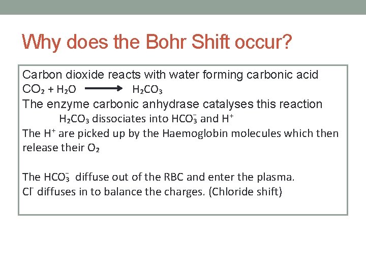 Why does the Bohr Shift occur? Carbon dioxide reacts with water forming carbonic acid