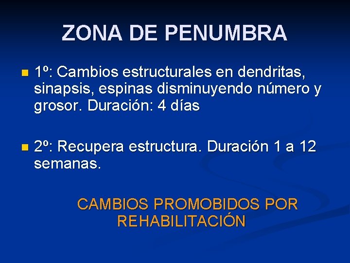 ZONA DE PENUMBRA n 1º: Cambios estructurales en dendritas, sinapsis, espinas disminuyendo número y