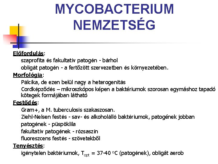 MYCOBACTERIUM NEMZETSÉG Előfordulás: szaprofita és fakultatív patogén - bárhol obligát patogén - a fertőzött