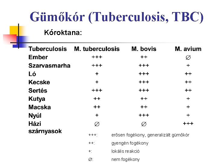 Gümőkór (Tuberculosis, TBC) Kóroktana: +++: erősen fogékony, generalizált gümőkór ++: gyengén fogékony +: lokális
