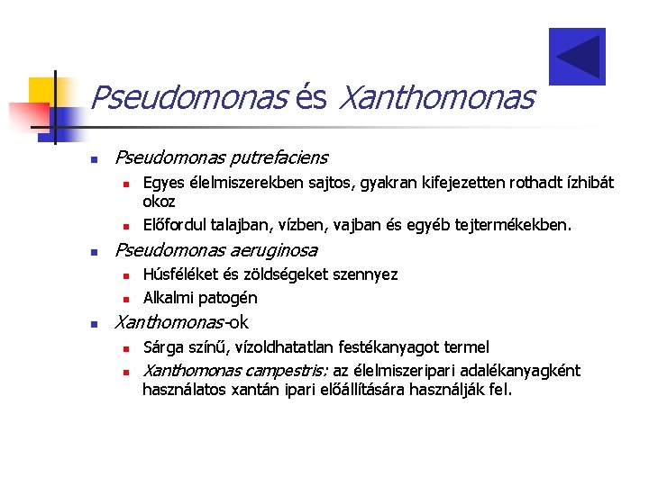 Pseudomonas és Xanthomonas n Pseudomonas putrefaciens n n n Pseudomonas aeruginosa n n n