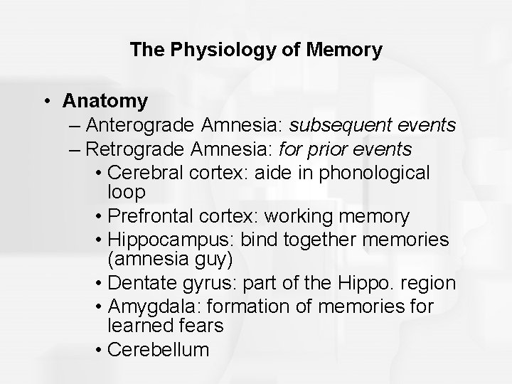 The Physiology of Memory • Anatomy – Anterograde Amnesia: subsequent events – Retrograde Amnesia: