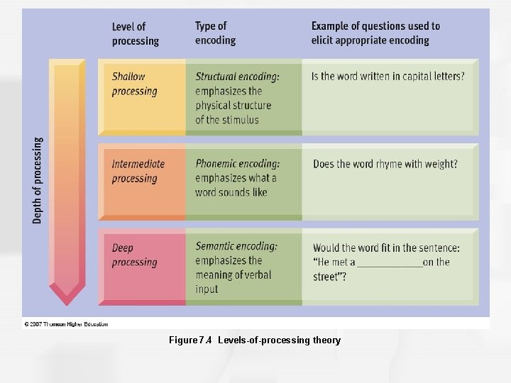 Figure 7. 4 Levels-of-processing theory 